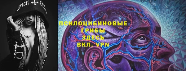 метадон Осташков